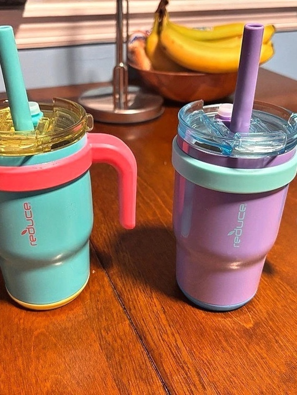 Reduce Colorful Insulated Tumblers Set of 2